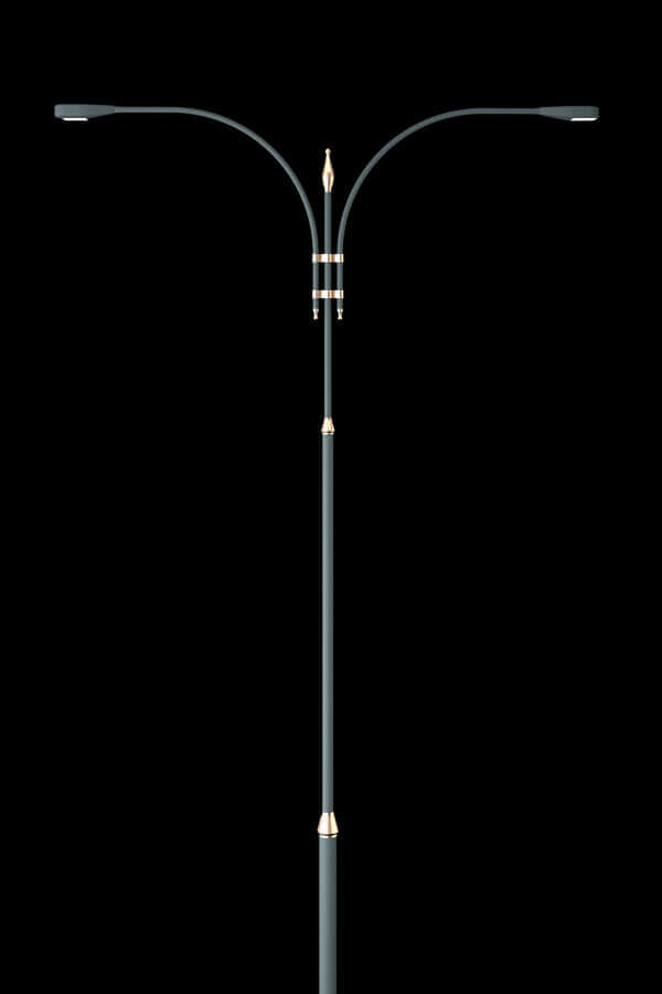 Procyon